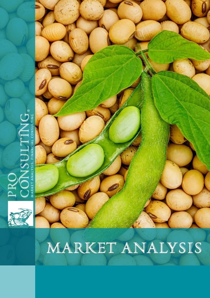 Market research report on soybean in Ukraine. 2024 year